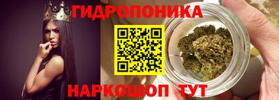 крисы Кулебаки