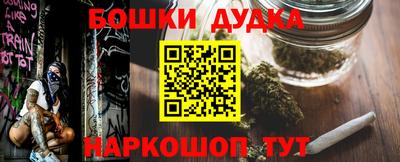 крисы Кулебаки