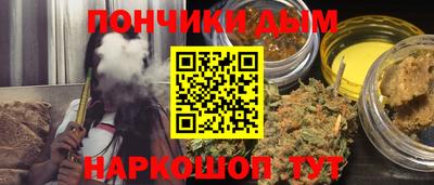 крисы Кулебаки