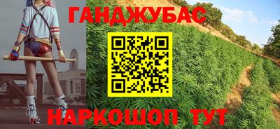 крисы Кулебаки