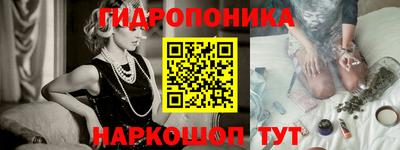 крисы Кулебаки