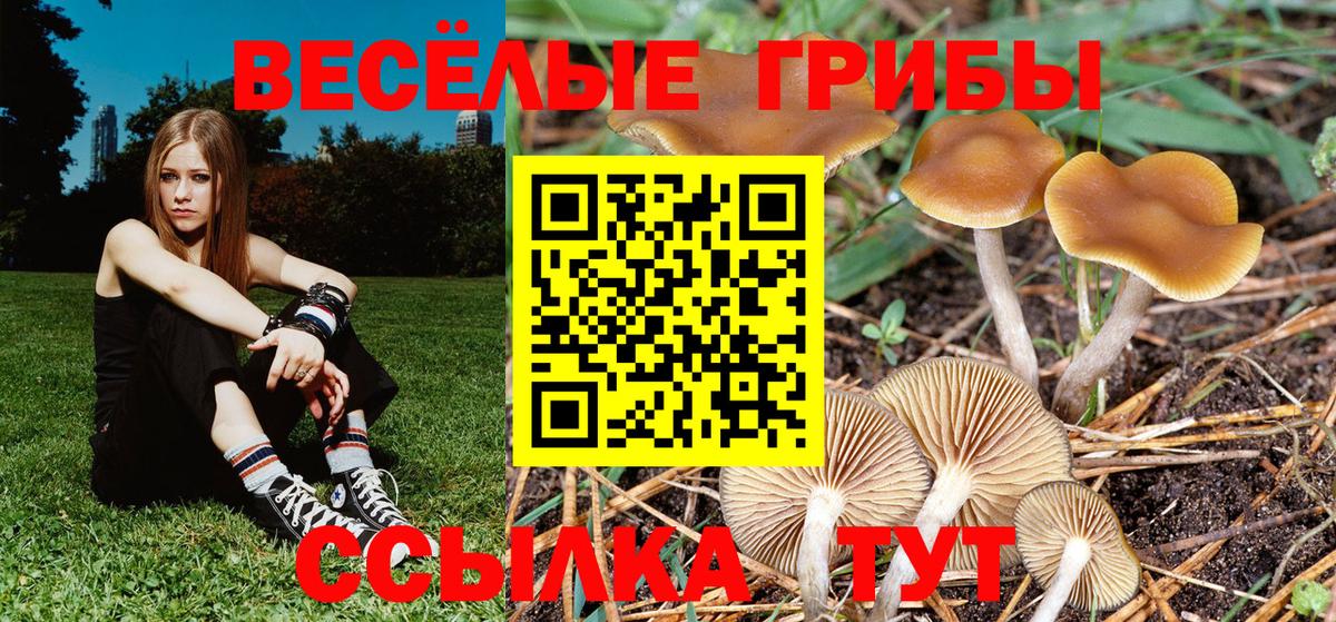 Галлюциногенные грибы мухоморы  Вход с VPN  купить наркотик  Чебаркуль  Галлюциногенные грибы GOLDEN TEACHER 