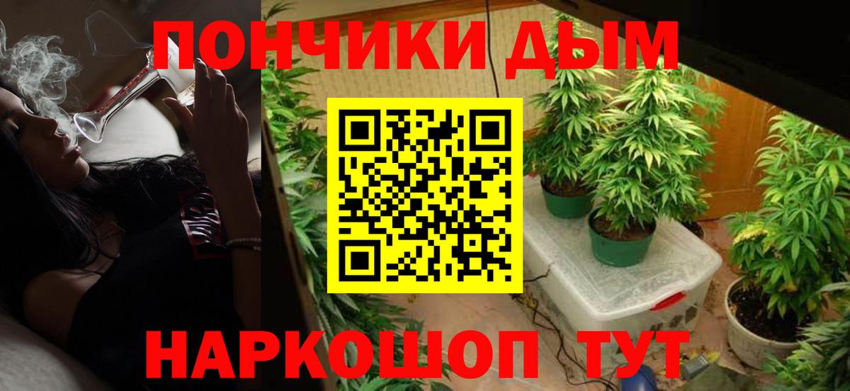 Шишки марихуана сатива Чебаркуль